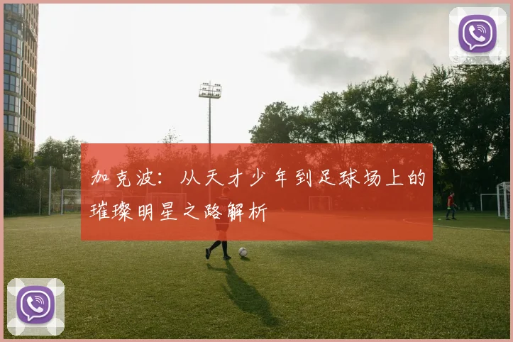 加克波：从天才少年到足球场上的璀璨明星之路解析