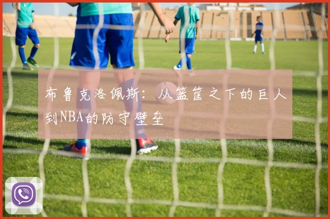 布鲁克洛佩斯：从篮筐之下的巨人到NBA的防守壁垒
