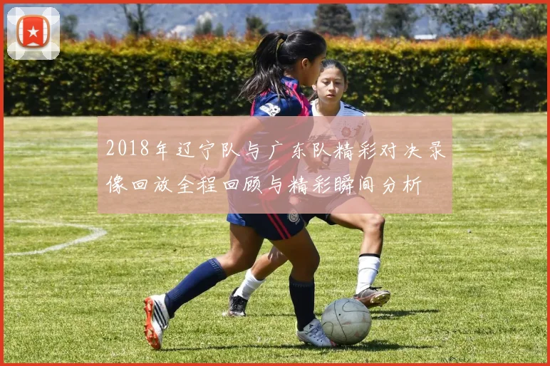 2018年辽宁队与广东队精彩对决录像回放全程回顾与精彩瞬间分析